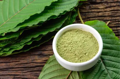 kratom leaves and powders