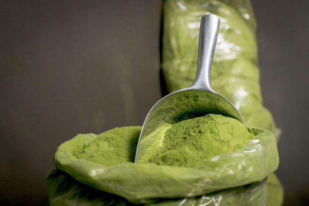 Kratom for Opioid Withdrawal: Does It Work?